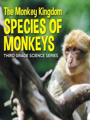 cover image of The Monkey Kingdom (Species of Monkeys) --3rd Grade Science Series